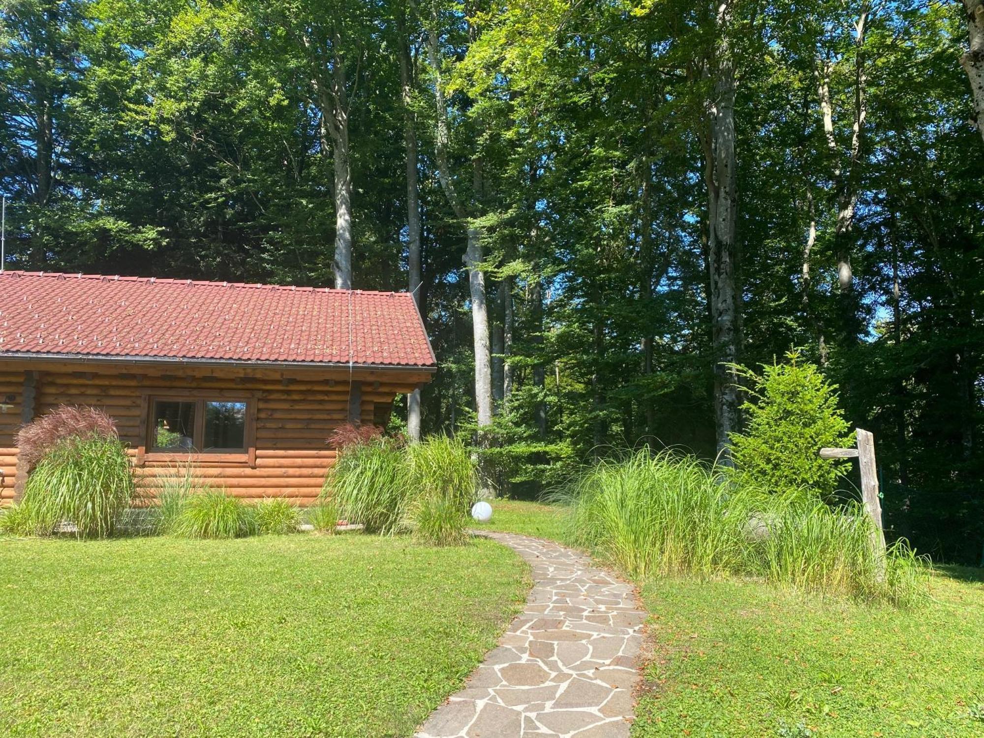 Huette Am Wald Villa Hof bei Salzburg Eksteriør billede