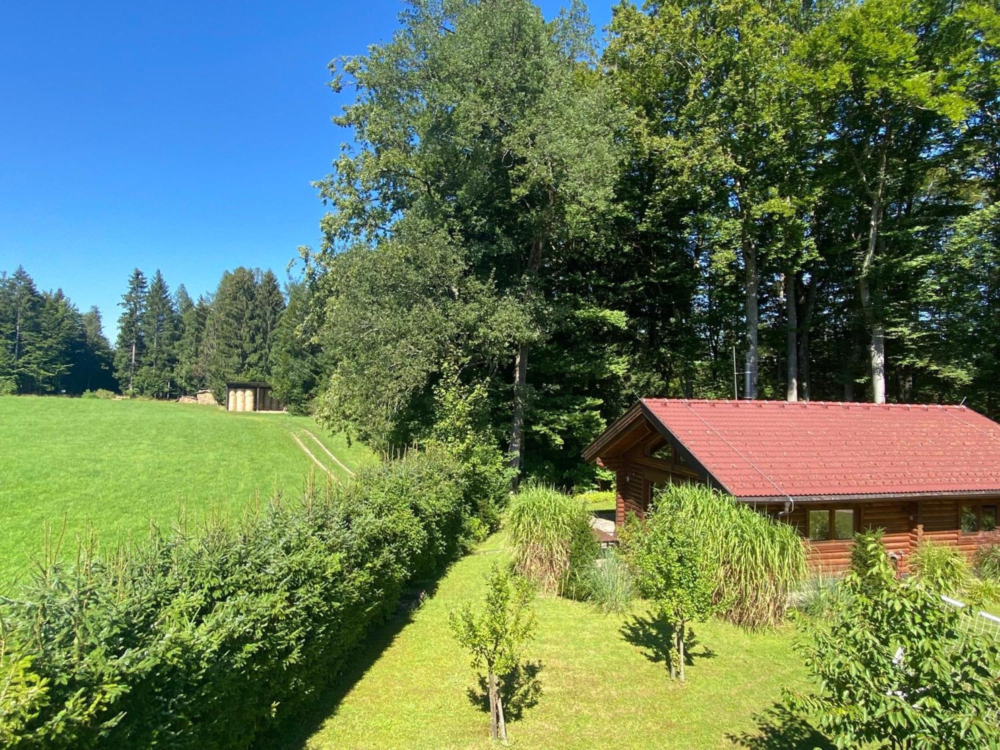 Huette Am Wald Villa Hof bei Salzburg Eksteriør billede